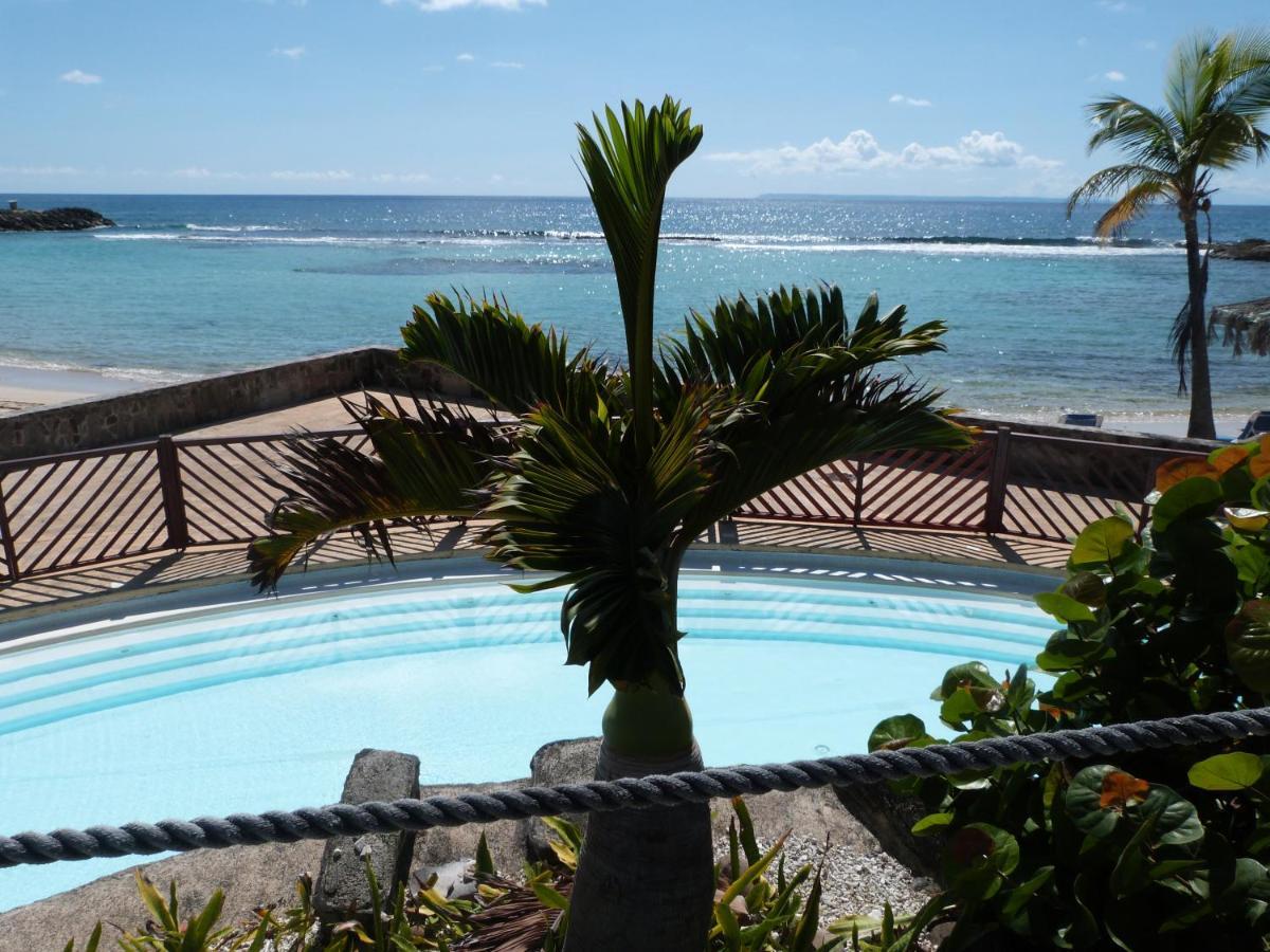 Studio Vue Mer Piscine Plage Kaz Punch Manganao Chez Julie Сен-Франсуа Екстер'єр фото