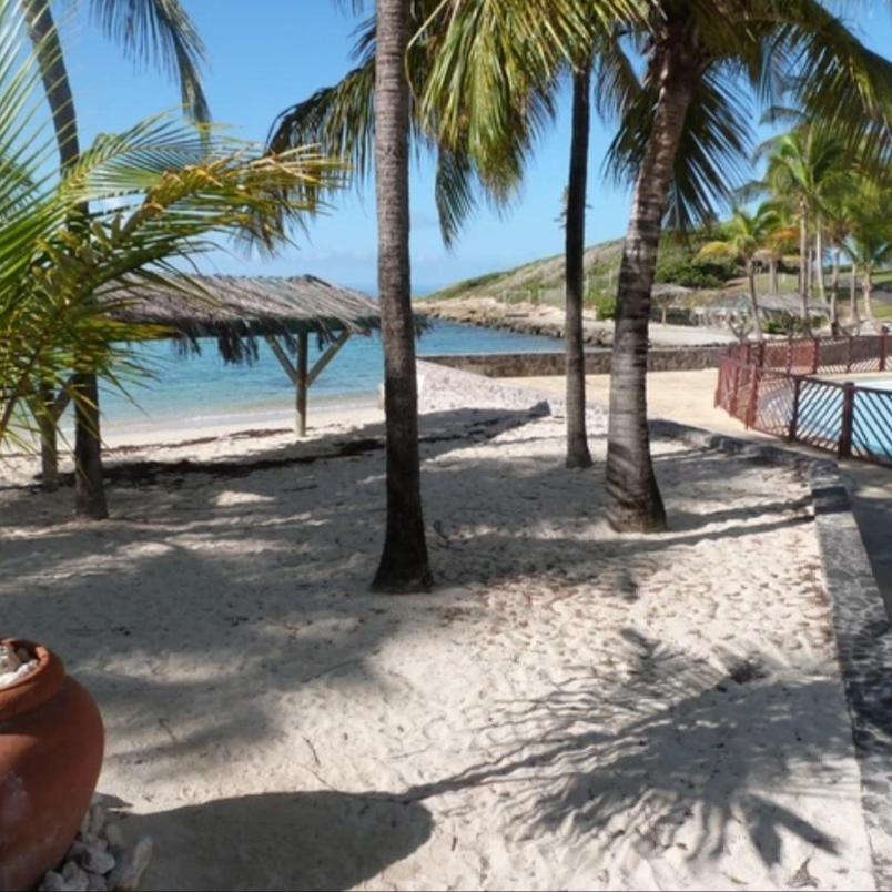 Studio Vue Mer Piscine Plage Kaz Punch Manganao Chez Julie Сен-Франсуа Екстер'єр фото